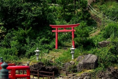 Gkz  3  vi92ng - Eugenol