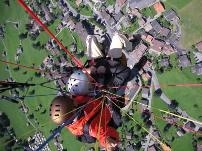 Grindelwald pvmz2l - Eugenol