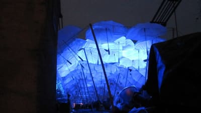 Img 0087 ohek6o - Eugenol