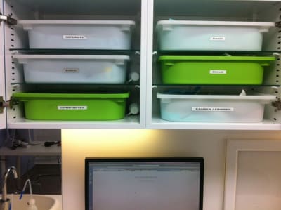 Img 0365 knq42e - Eugenol