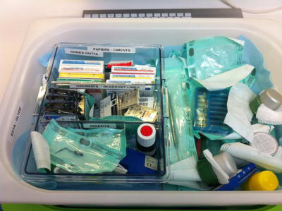 Img 0367 gsxwty - Eugenol