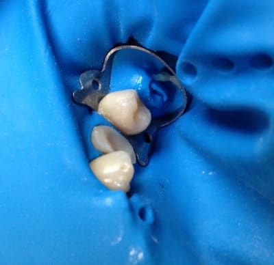 Img 0435 jbbbuz - Eugenol