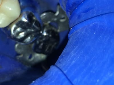 Img 0688 tijuxx - Eugenol