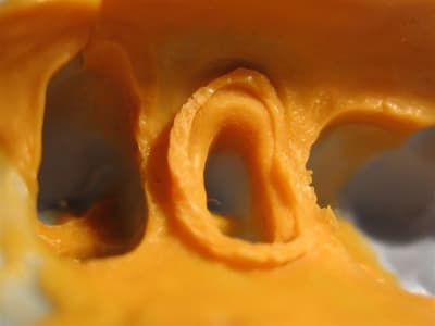 Img 1124 d7az7w - Eugenol