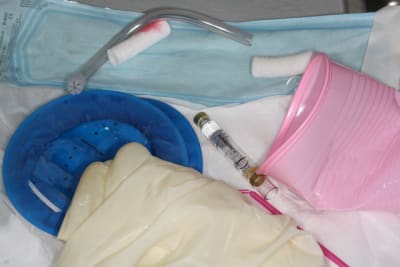 Img 1717 bkihcs - Eugenol