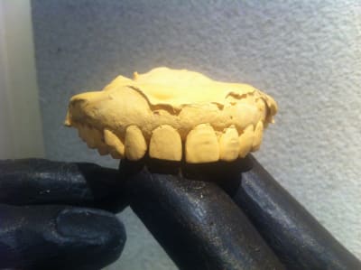 Img 1966 bbknab - Eugenol