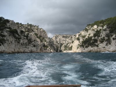 Img 2076 m6uhao - Eugenol