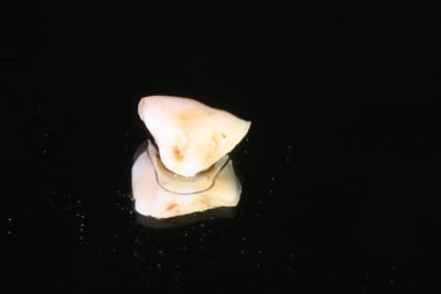 Img 2256 iytqp7 - Eugenol