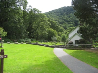 Img 2957 jrtger - Eugenol