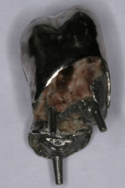 Img 3024 todfq2 - Eugenol