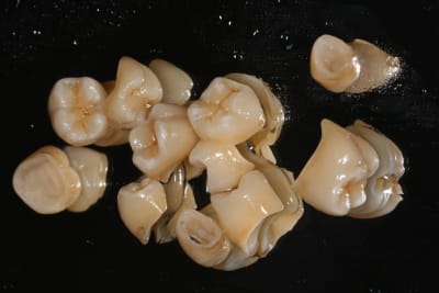 Img 3544 cp4j1a - Eugenol