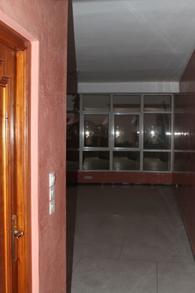 Img 5207 exo5ax - Eugenol