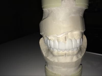 Img 6739 hvcofc - Eugenol