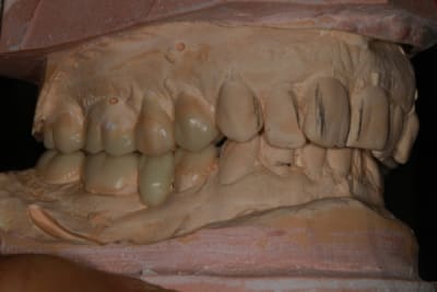 Img 8777 o1qd6z - Eugenol