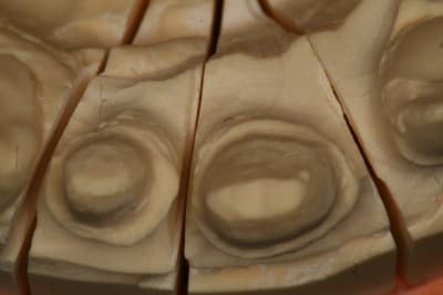 Img 8891 fw3glq - Eugenol