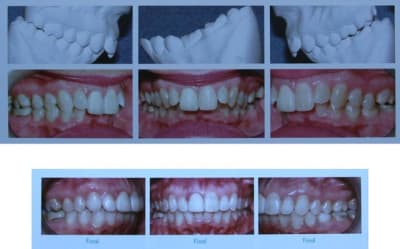 Image 3 a1rigo - Eugenol