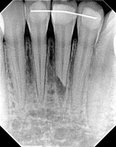 Image001 f74jpc - Eugenol