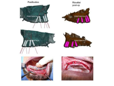 Image1 njegh9 - Eugenol