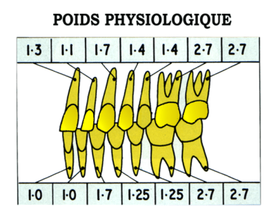 Image1 yqgxko - Eugenol