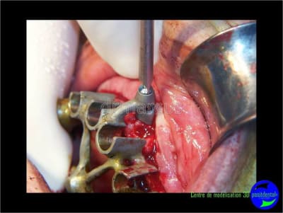 Image33 isxqck - Eugenol