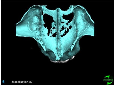 Image6 hybajq - Eugenol