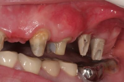 Img 4321 wenbgm - Eugenol