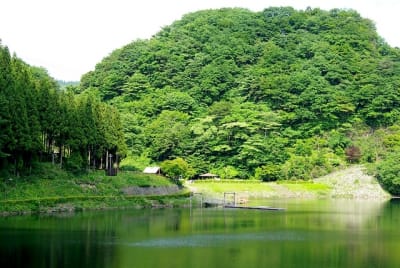 Jb  12  l6kura - Eugenol