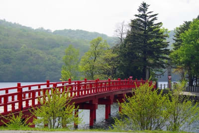 Jb  6  qsskjz - Eugenol