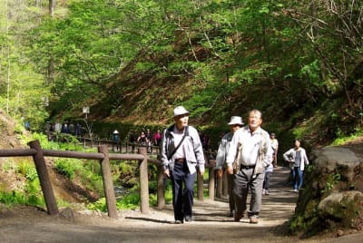 Jn  4  p5e5a1 - Eugenol