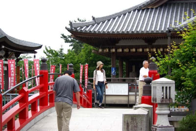 Jn  9  wzg1zh - Eugenol