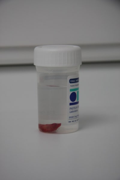 Jou 127 rok12b - Eugenol