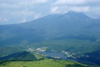 Kn  12  gbrmvl - Eugenol