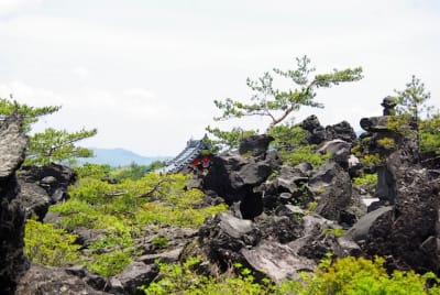 Kn  13  ur7c7z - Eugenol