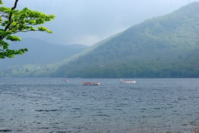 Kw  12  aaoiw2 - Eugenol