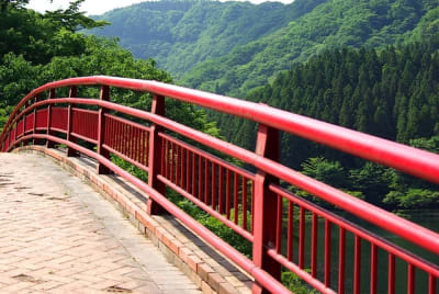 Kw  13  cpmuty - Eugenol