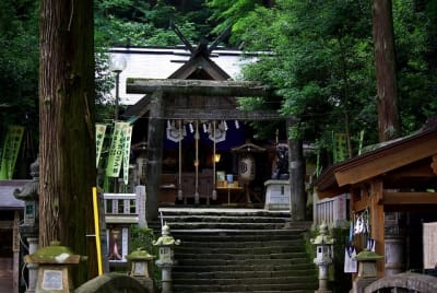 Kw  4  irzsgv - Eugenol