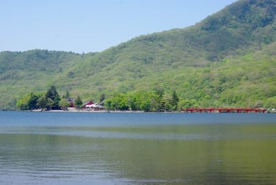 Kw  6  vzkmrr - Eugenol