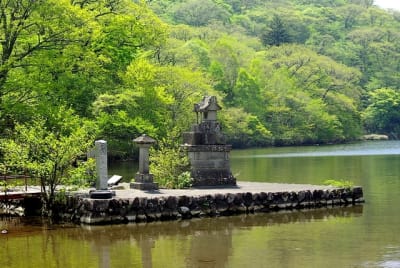 Kw  7  docyar - Eugenol