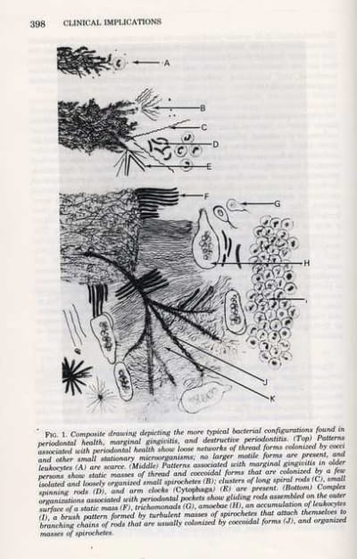Keyes4 vbfp8x - Eugenol