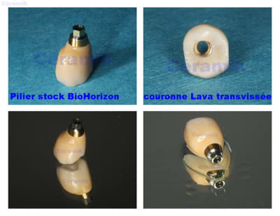 Lava   bio horizon eaqu1m - Eugenol