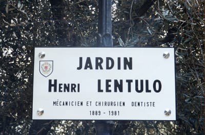 Lentulo tvrpkt - Eugenol