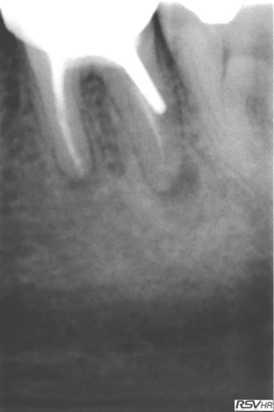 M1 ugvce8 - Eugenol