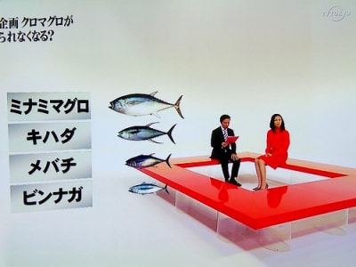 Maguro3 hzxhst - Eugenol