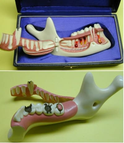 Mandi1 mxquox - Eugenol