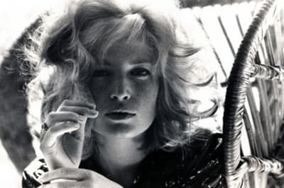 Monicavitti1 uxq0u1 - Eugenol