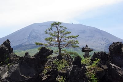 Ngn  7  ihpgjc - Eugenol