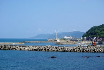 Ngn  8  kiqeye - Eugenol