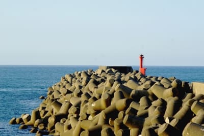 Ntk  7  tz4yqp - Eugenol