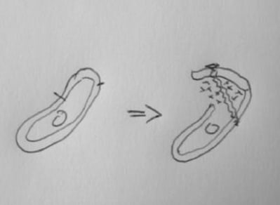 Osr yf9kga - Eugenol