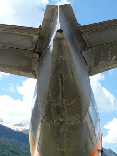 P1010448 uepeiy - Eugenol